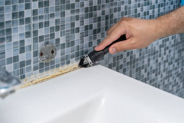 Best Mold Inspection  in Bridgeport, IL
